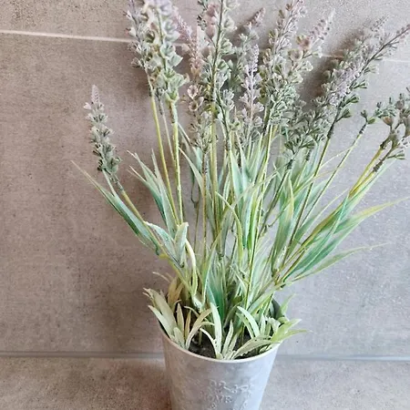 Theferienwohnungen Mit Balkon Oder Terrasse