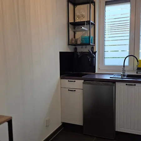 Theferienwohnungen Mit Balkon Oder Terrasse 公寓 不莱梅
